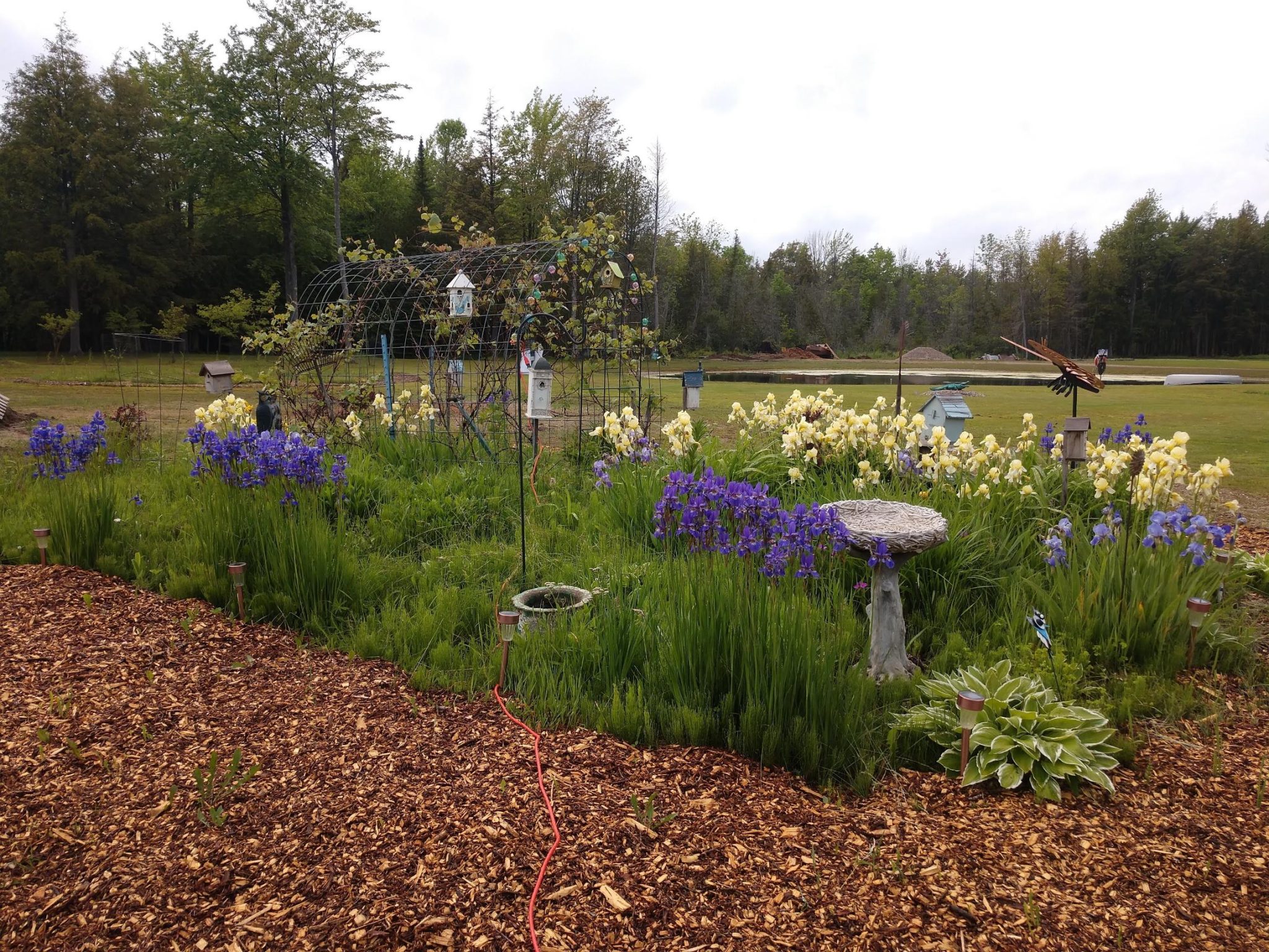 Garden Therapy in Menominee, Michigan at Raven Wood Gardens LLC
