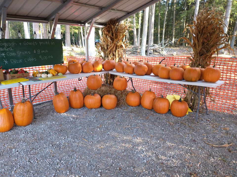 Organic Pumpkins, Squash, and Gourds For Sale at Raven Wood Gardens in Menominee, MI