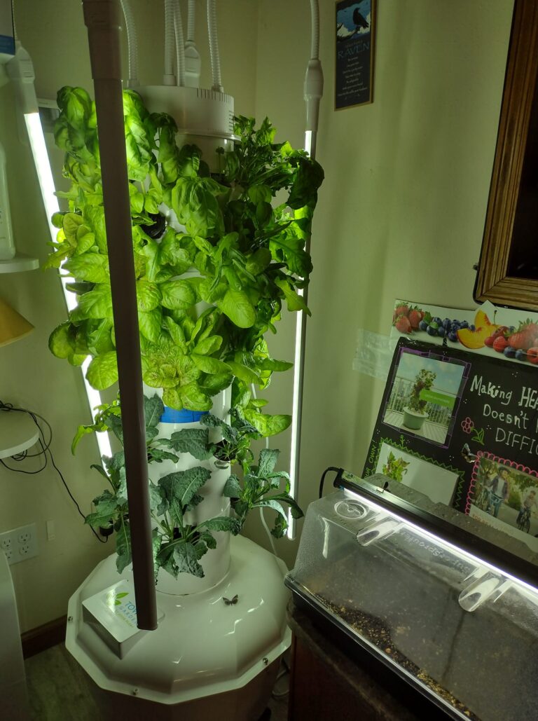 Grow Your Own Salad with a Tower Garden!